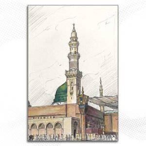 Alternative view of MD81